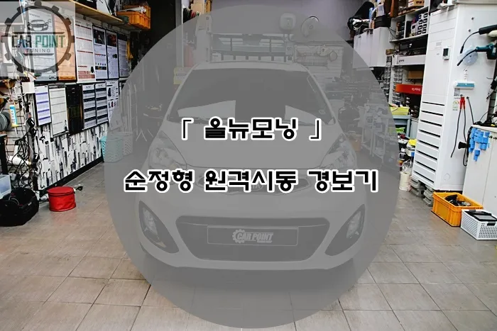 Kia Morning oem options installation result
