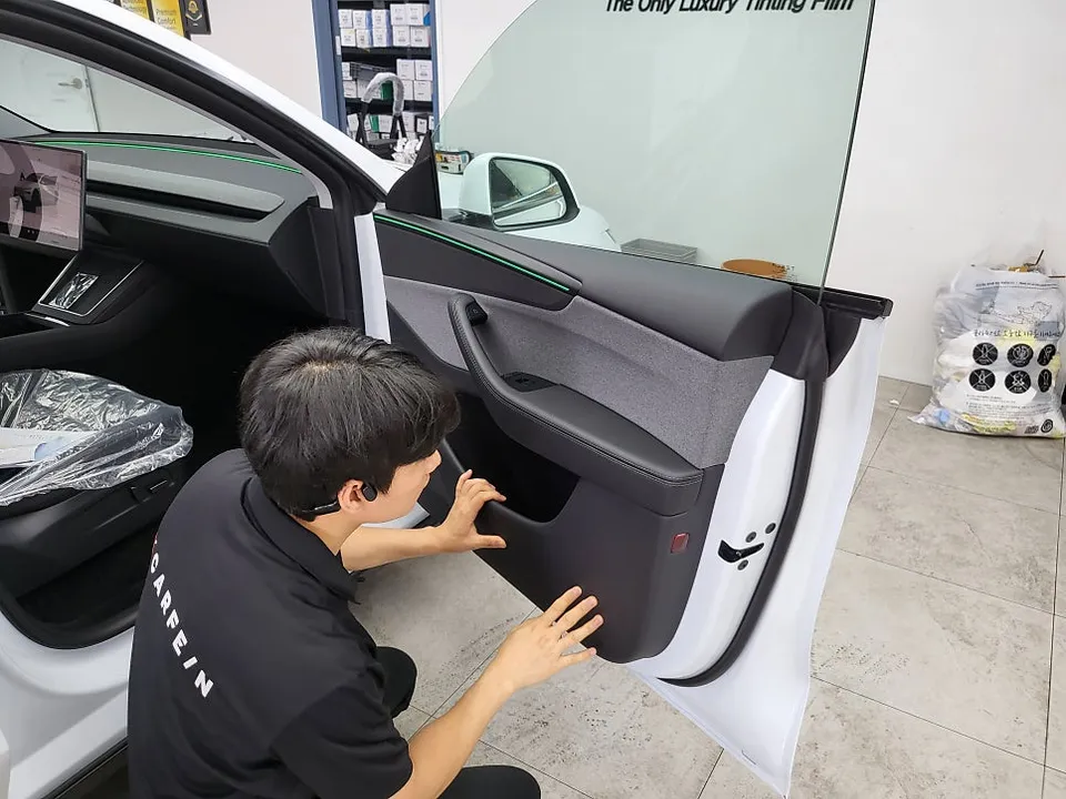 Tesla Model Y new car package - Tesla Model Y New Car Package Review — Protection & Tint photo 3