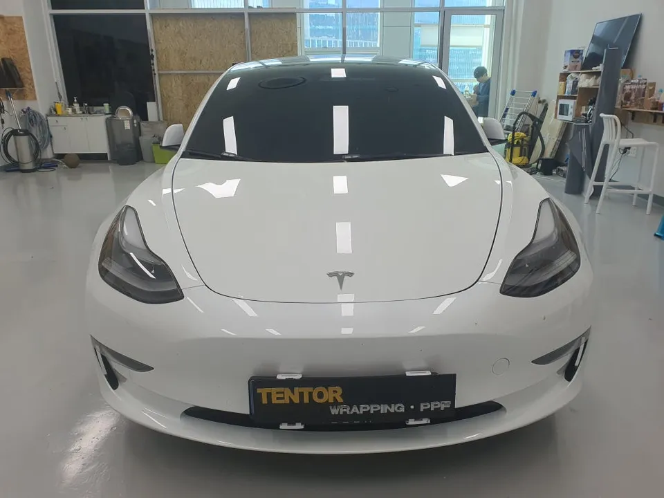 Tesla Model 3 カーフィルム施工事例｜断熱・スモーク 写真