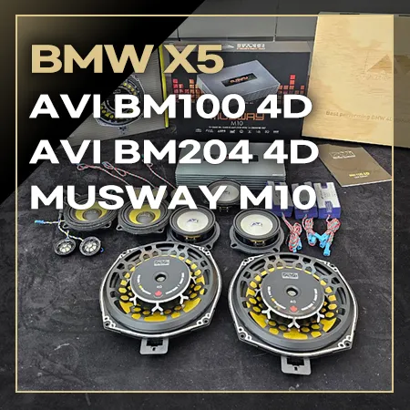 BMW X5 car audio installation result