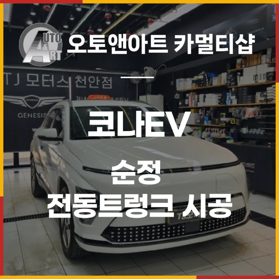 Hyundai Kona oem options installation result