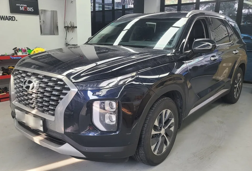 Hyundai Palisade oem options installation result