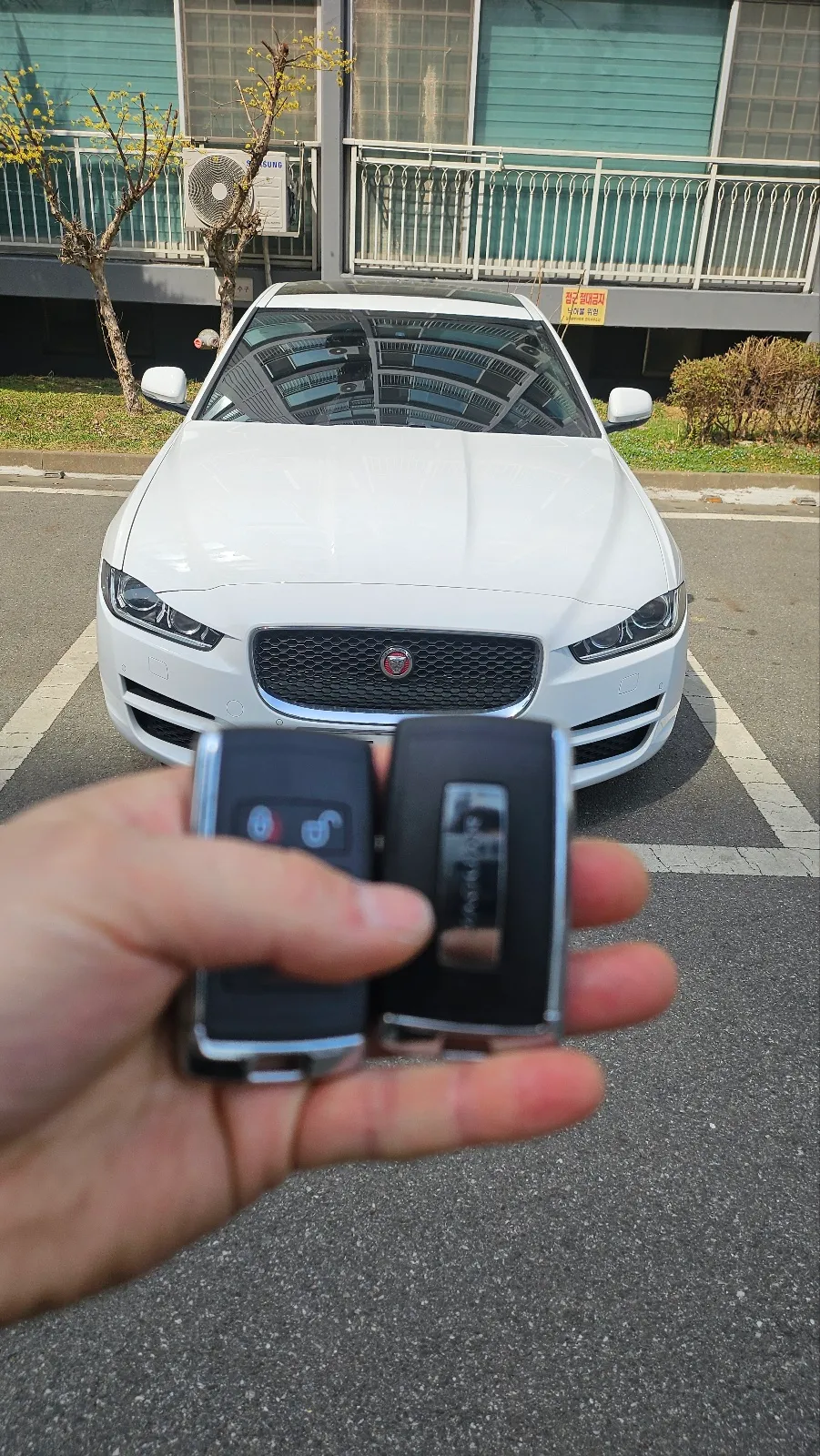 Jaguar XE oem options - Jaguar XE OEM Options Review - Cost & Results photo 5