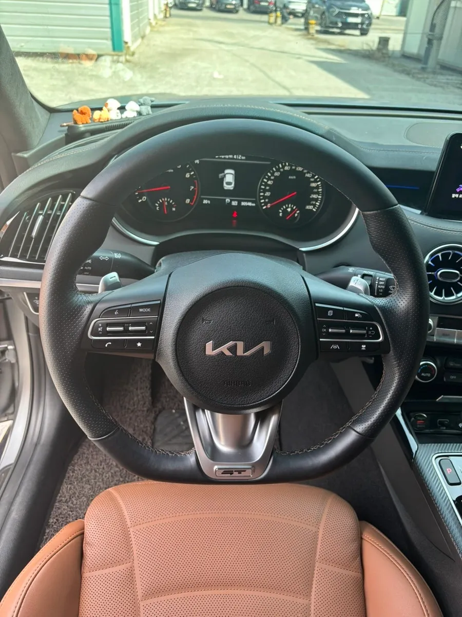 Kia Stinger steering wheel - Kia Stinger Steering Wheel Customization Review: Brown Alcantara  photo 4