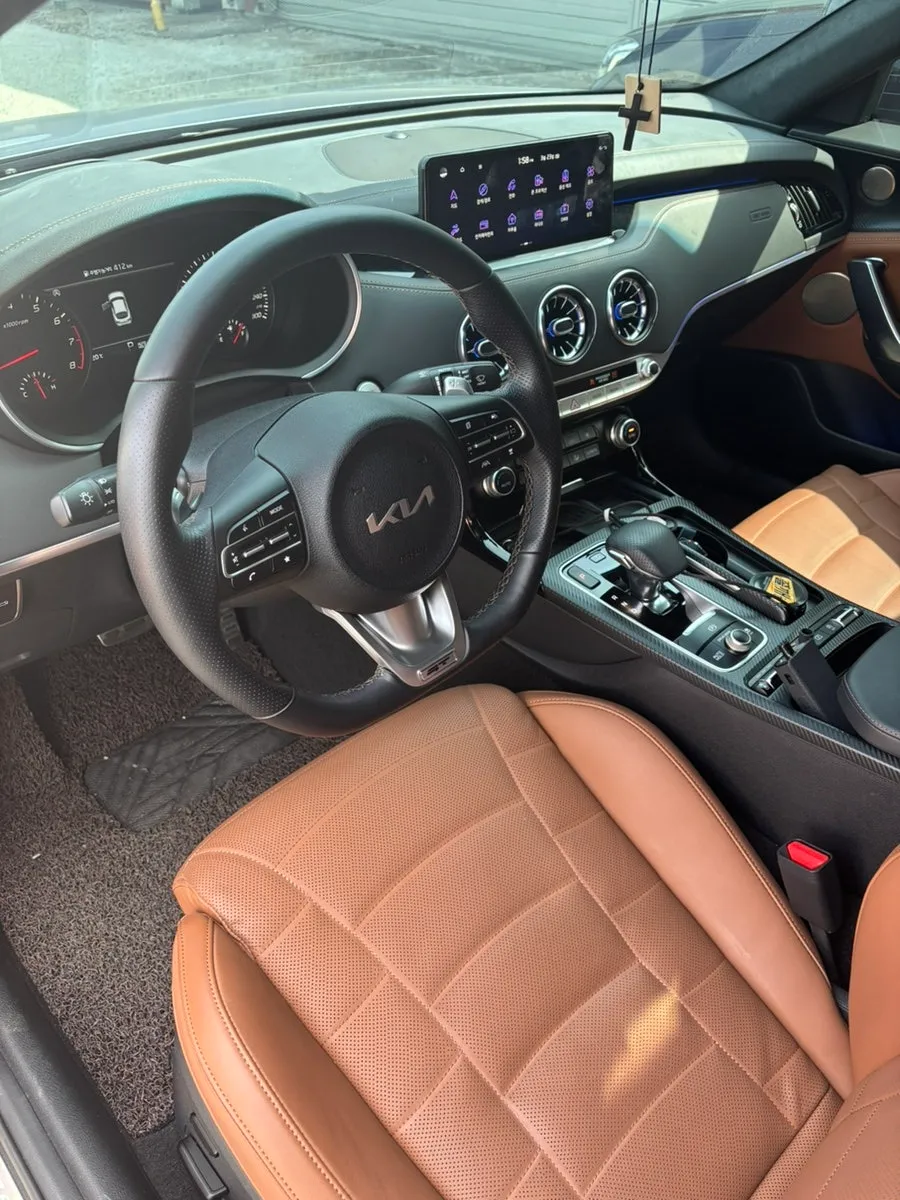 Kia Stinger steering wheel - Kia Stinger Steering Wheel Customization Review: Brown Alcantara  photo 5