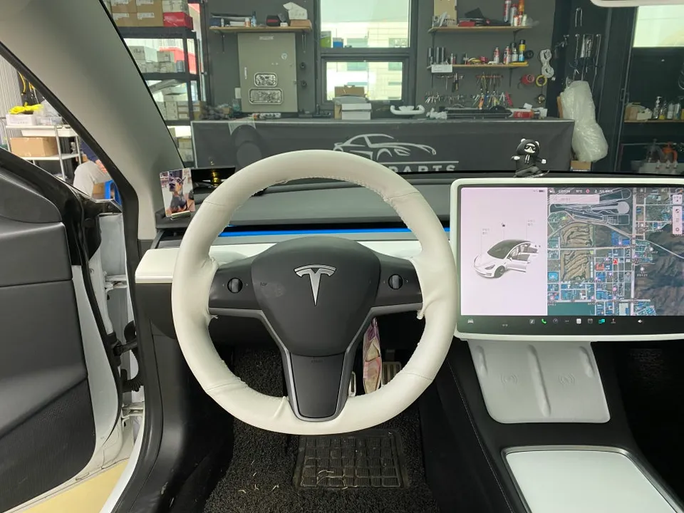 Tesla Model 3 steering wheel - Tesla Model 3 Steering Wheel Customization Review photo 3