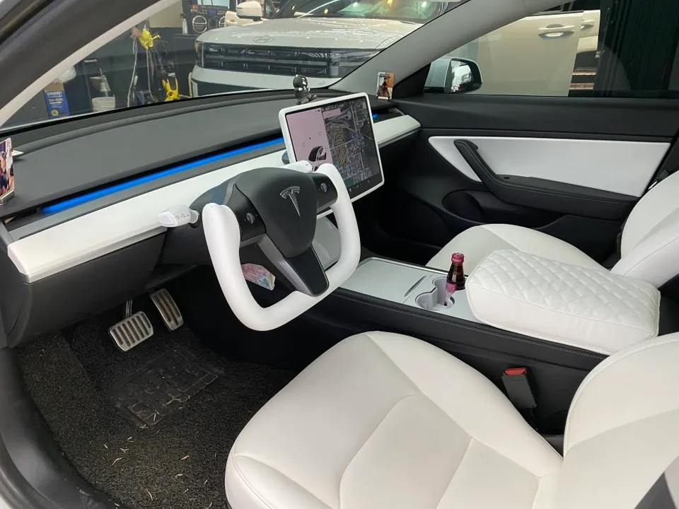 Tesla Model 3 steering wheel - Tesla Model 3 Steering Wheel Customization Review photo 5