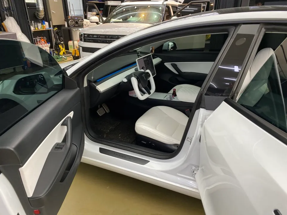 Tesla Model 3 steering wheel - Tesla Model 3 Steering Wheel Customization Review photo 6