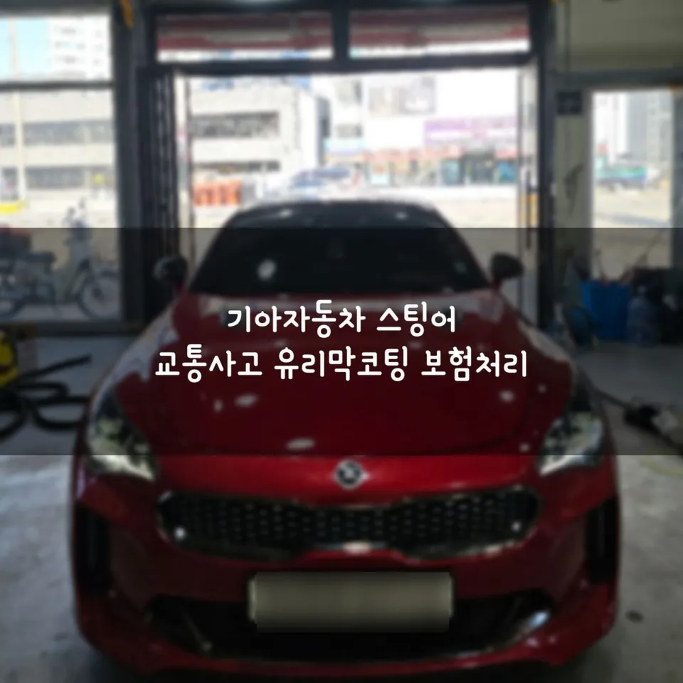 Kia Stinger paint correction installation result
