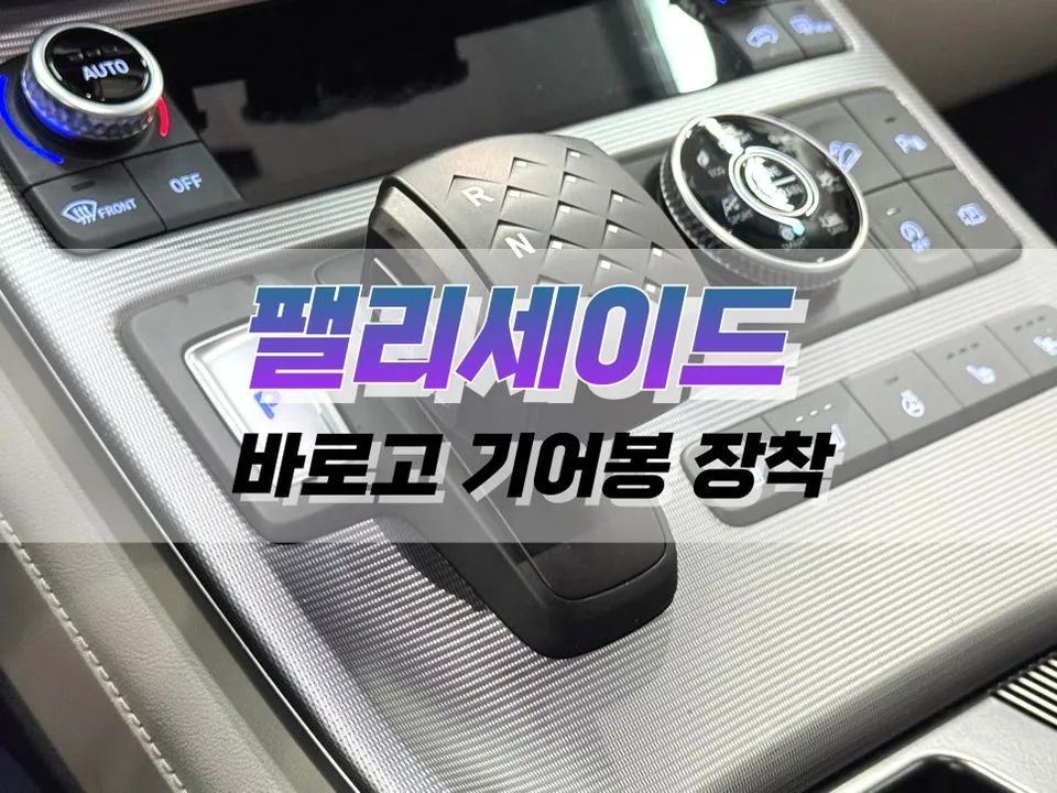 Hyundai Palisade Steering Wheel Customization Review After