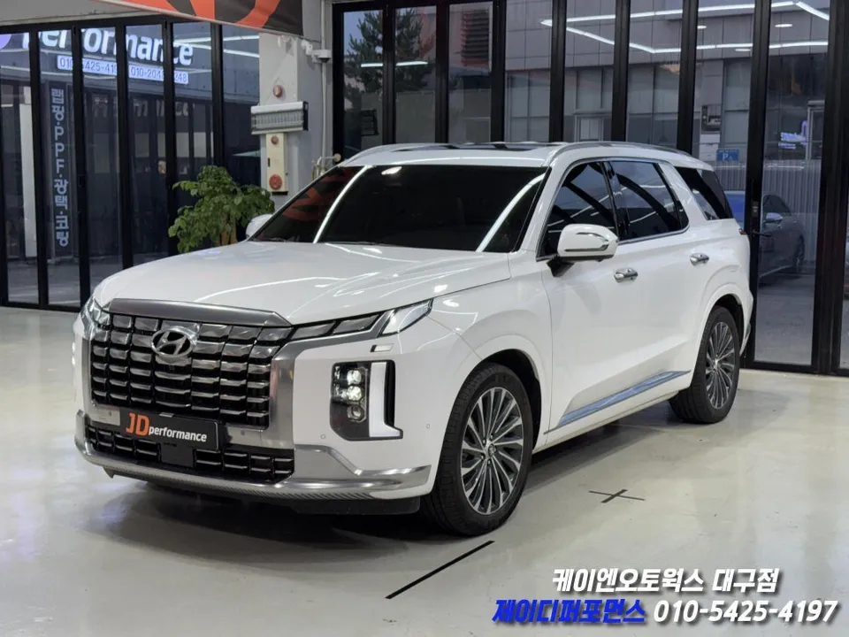 Hyundai Palisade steering wheel - Hyundai Palisade Steering Wheel Customization Review photo 2