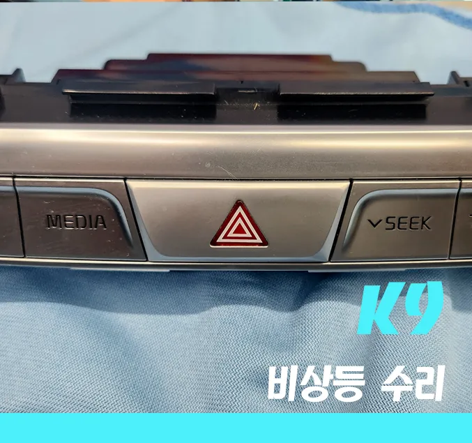 Kia K900 body repair review