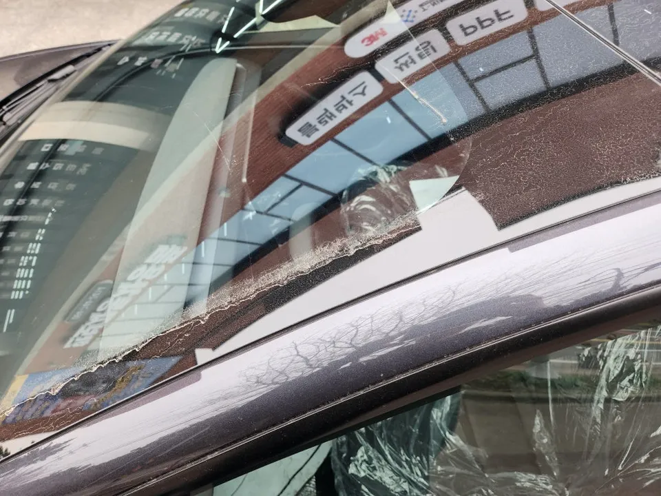 Tesla Model 3 PPF施工事例|費用目安・仕上がり 施工写真 4-1