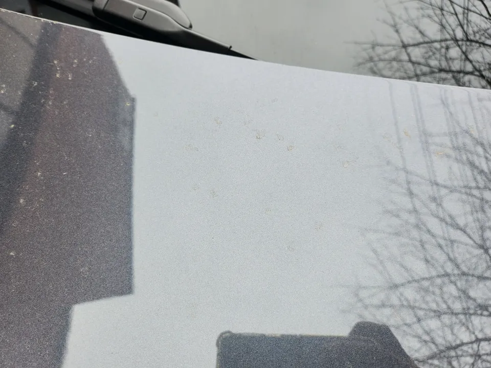 Tesla Model 3 PPF施工事例|費用目安・仕上がり 施工写真 1-2