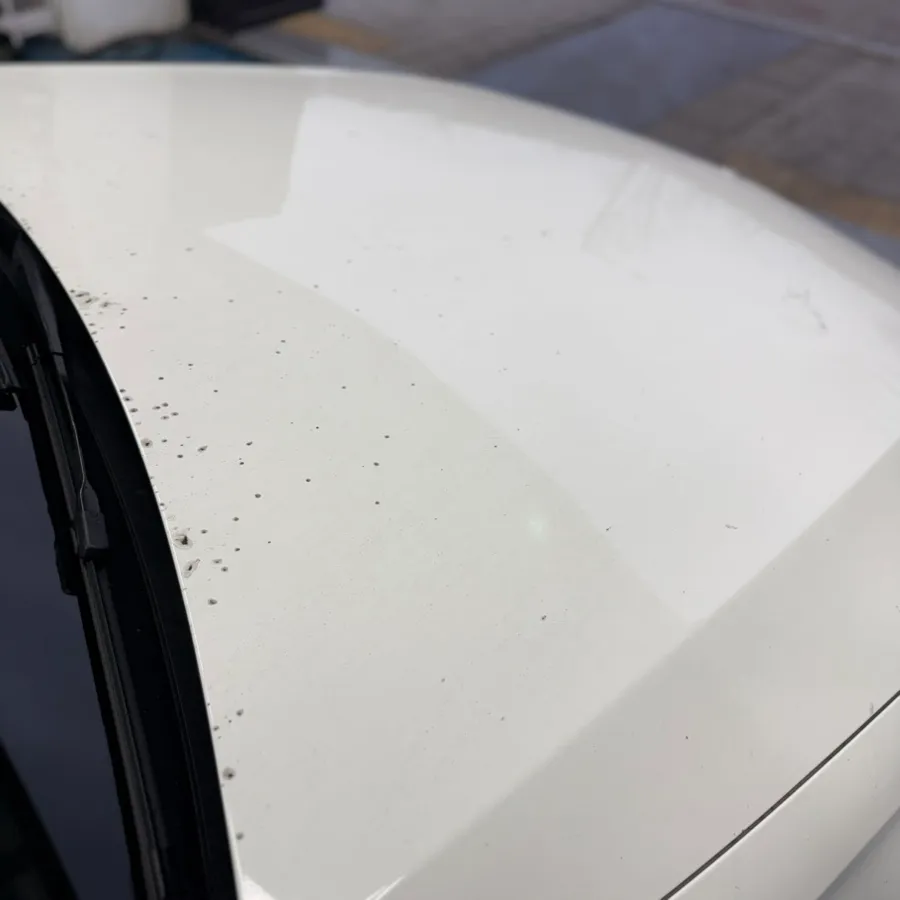 Mercedes-Benz E-Class Paint Correction & Glass Coating Review photo 2