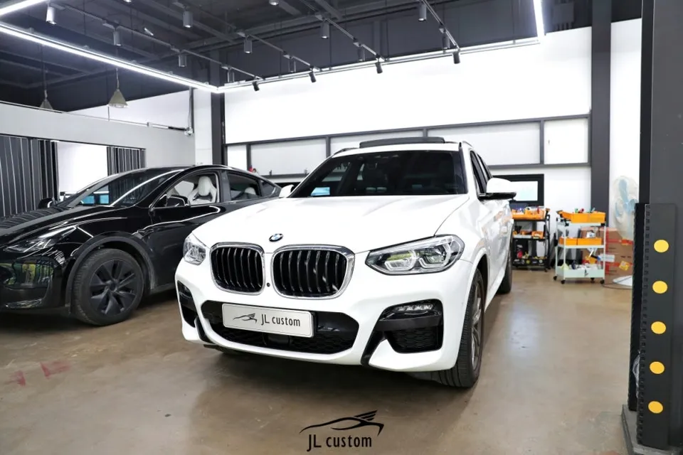 BMW X3 Seat Ventilation & Heating Review: Cost & Results