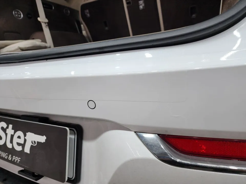Genesis GV80 PPF Review — Protection & Cost After