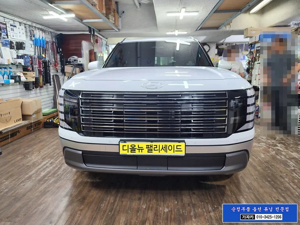 Hyundai Palisade surround view camera review
