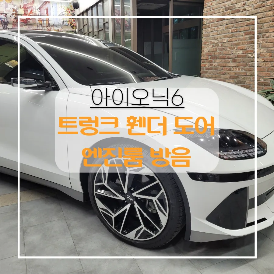 Hyundai IONIQ 6 undercoating review