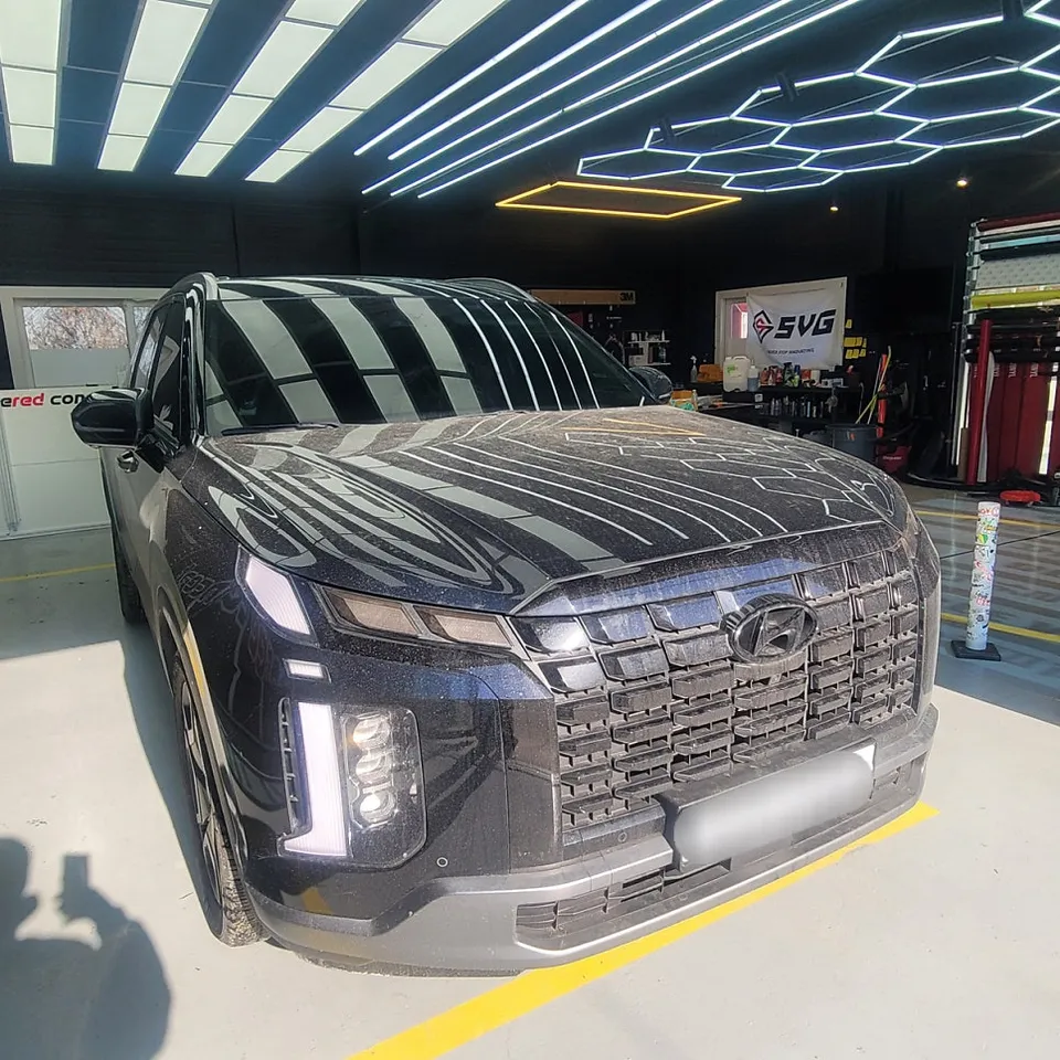 Hyundai Palisade LX2 body repair review