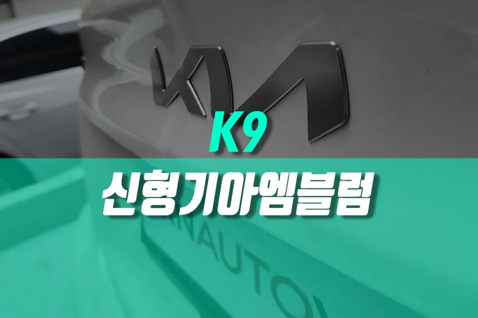 Kia K900 body kit installation result