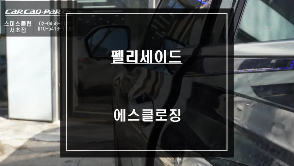 Hyundai Palisade ghost door review