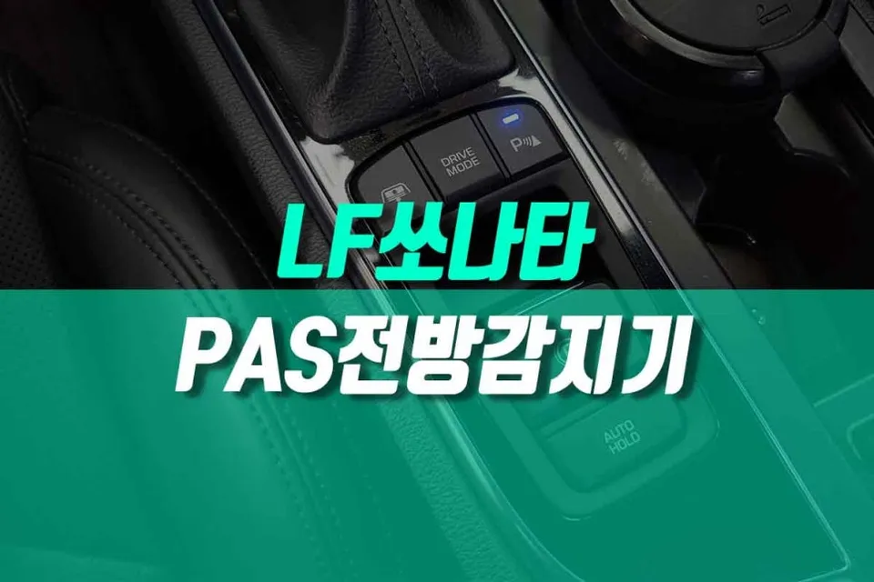 Hyundai Sonata LF oem options review