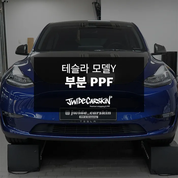 Tesla Model Y ppf review