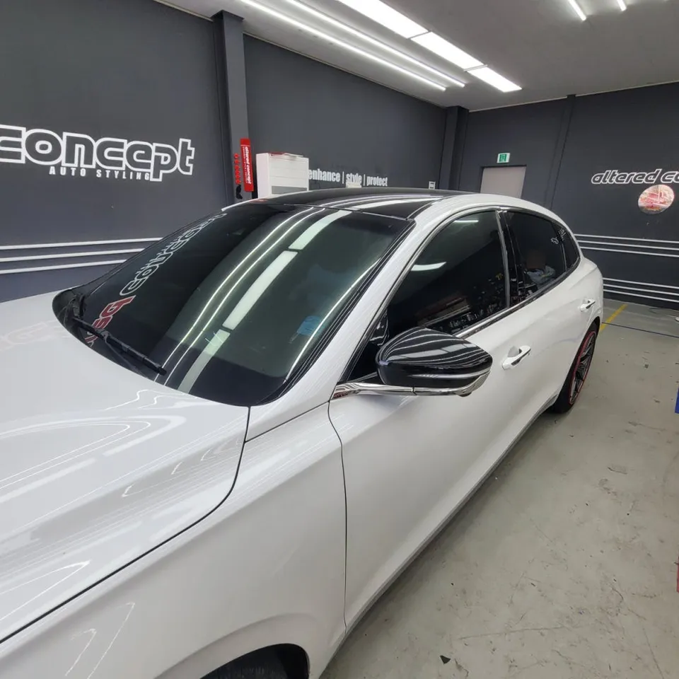 Hyundai Grandeur IGのカーラッピング事例|サイドミラー 写真