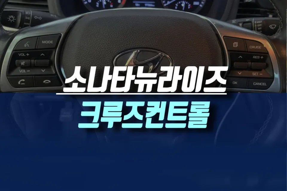 Hyundai Sonata New Rise oem options review