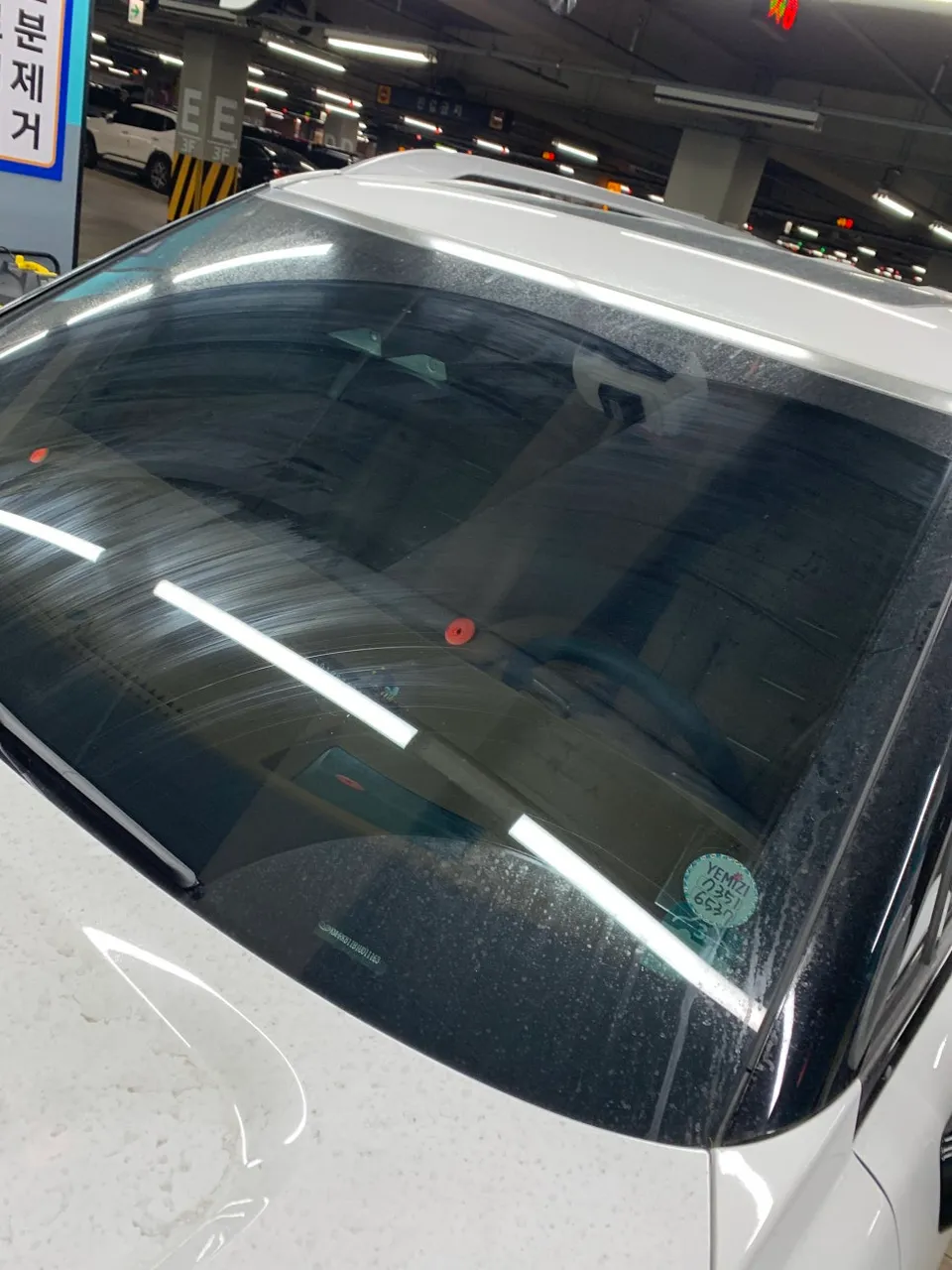 Hyundai Palisade paint correction - Hyundai Palisade Paint Correction & Glass Coating Review photo 3