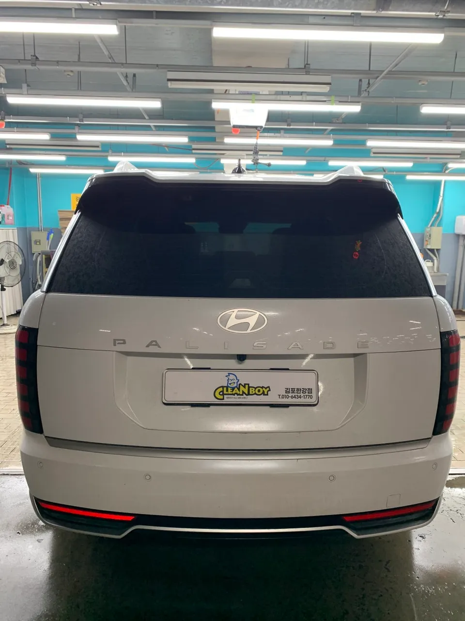 Hyundai Palisade paint correction - Hyundai Palisade Paint Correction & Glass Coating Review photo 7