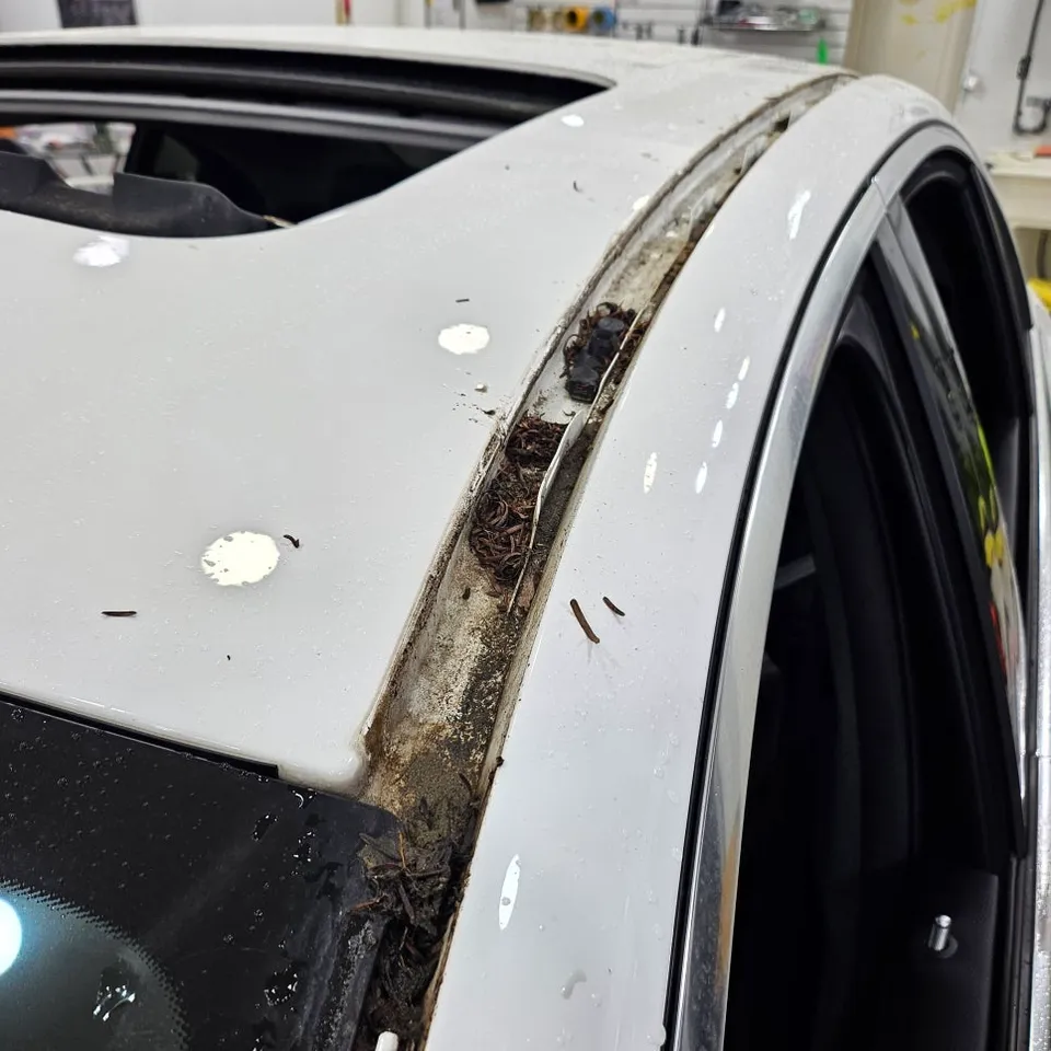 Mercedes-Benz Eクラスのカーラッピング事例|費用目安・仕上がり 施工写真 3-3
