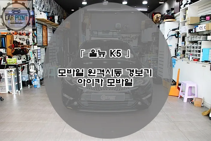Kia K5 oem options installation result