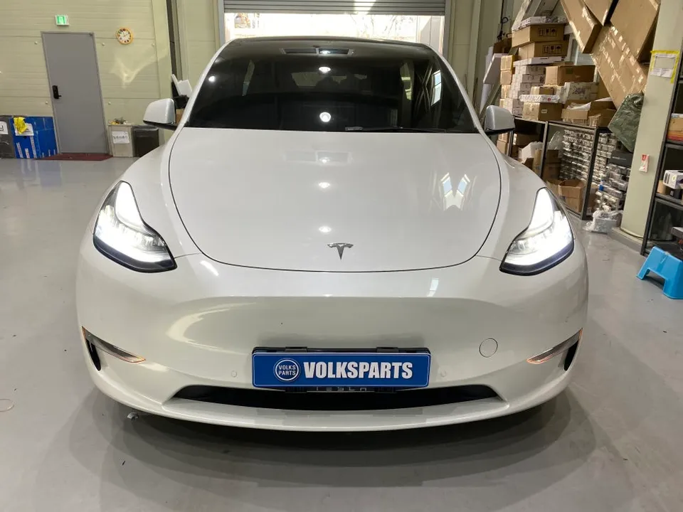 Tesla Model 3 oem options review
