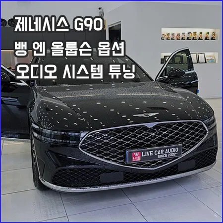 Genesis G90 car audio installation result
