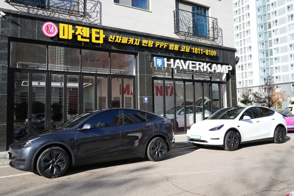 Tesla Model Y New Car Protection Package Review