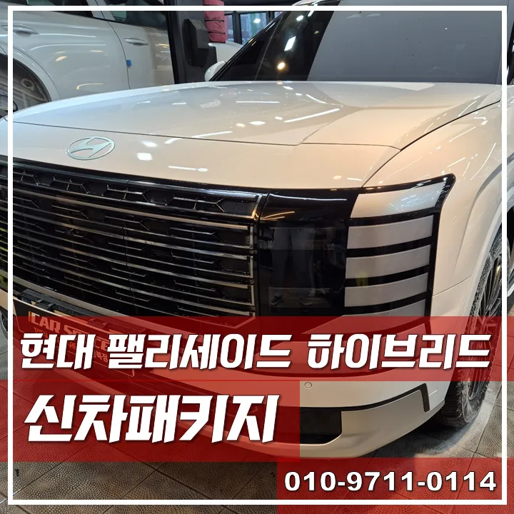 Hyundai Palisade LX3 new car package installation result