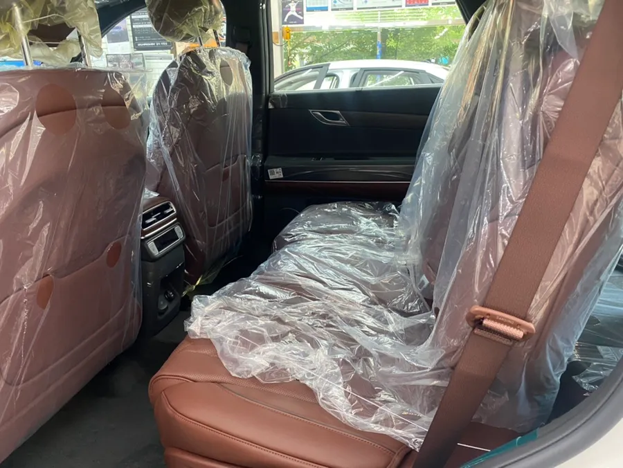 Genesis GV80 new car package - Genesis GV80 New Car Protection Package Review photo 6