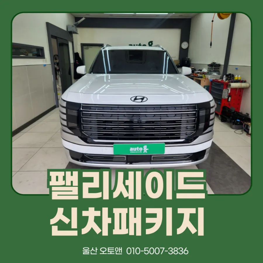 Hyundai Palisade new car package installation result