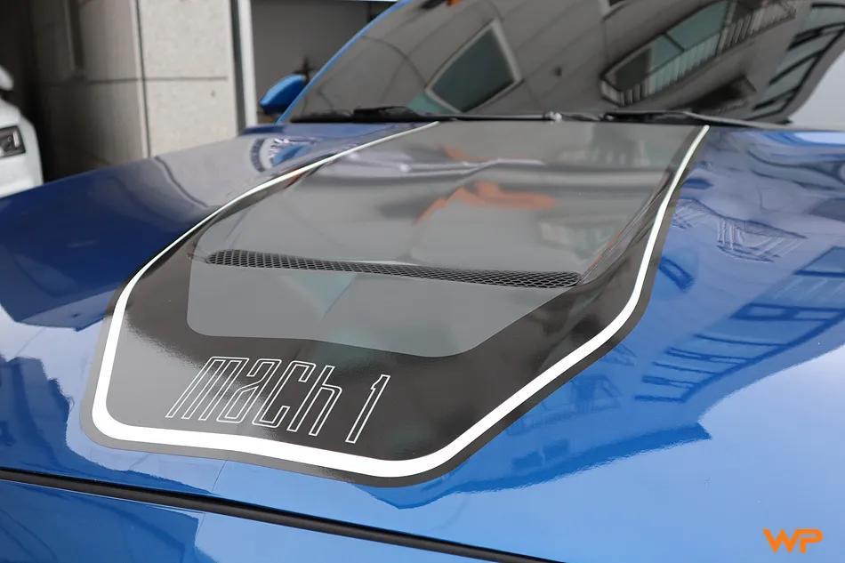 Ford Mustang vinyl wrap - Ford Mustang Vinyl Wrap Review: Viperline Decal for Mach 1 Style photo 3