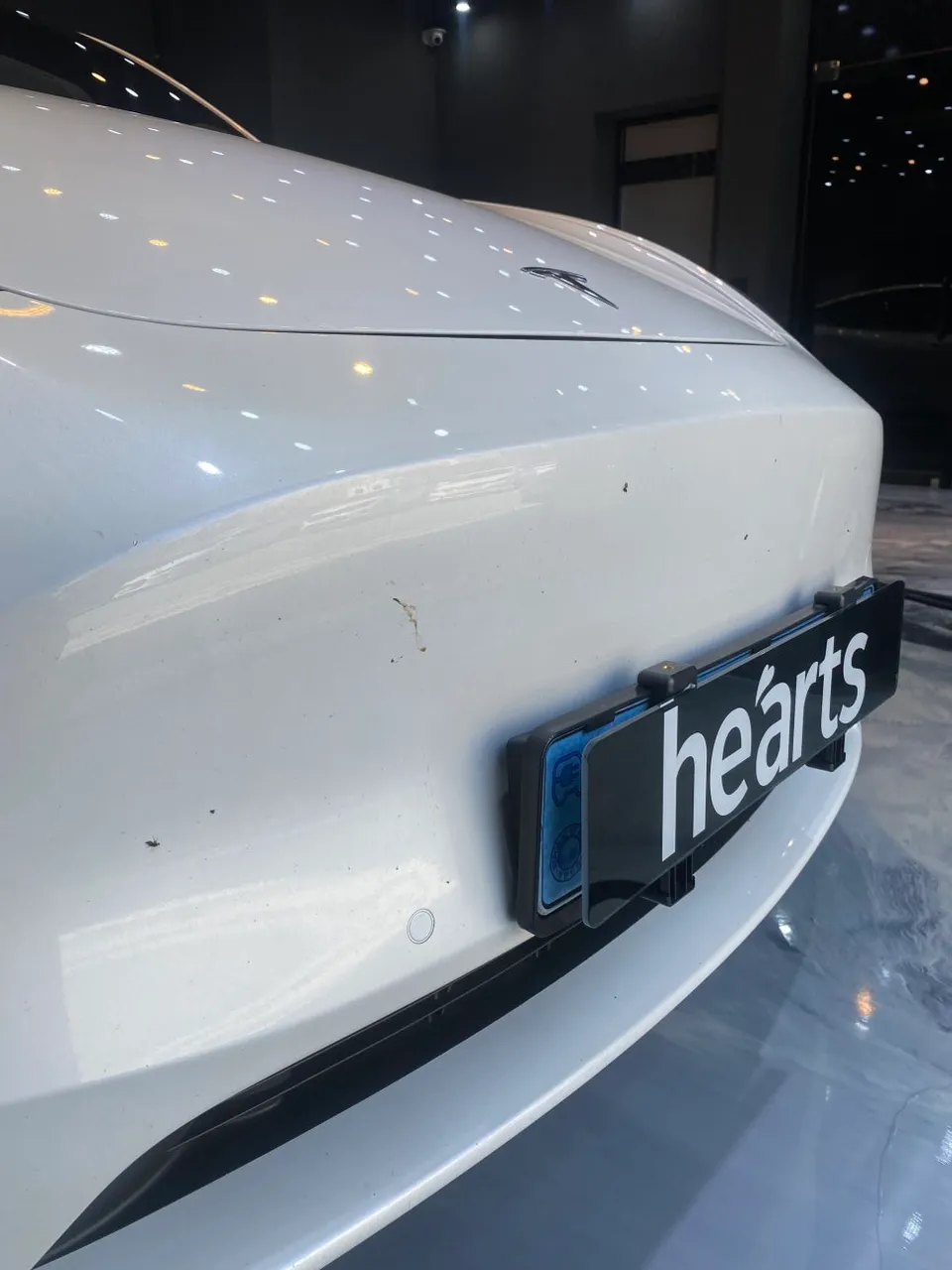 Tesla Model Yのガラスコーティング事例|費用目安と仕上がり 施工写真 1-1