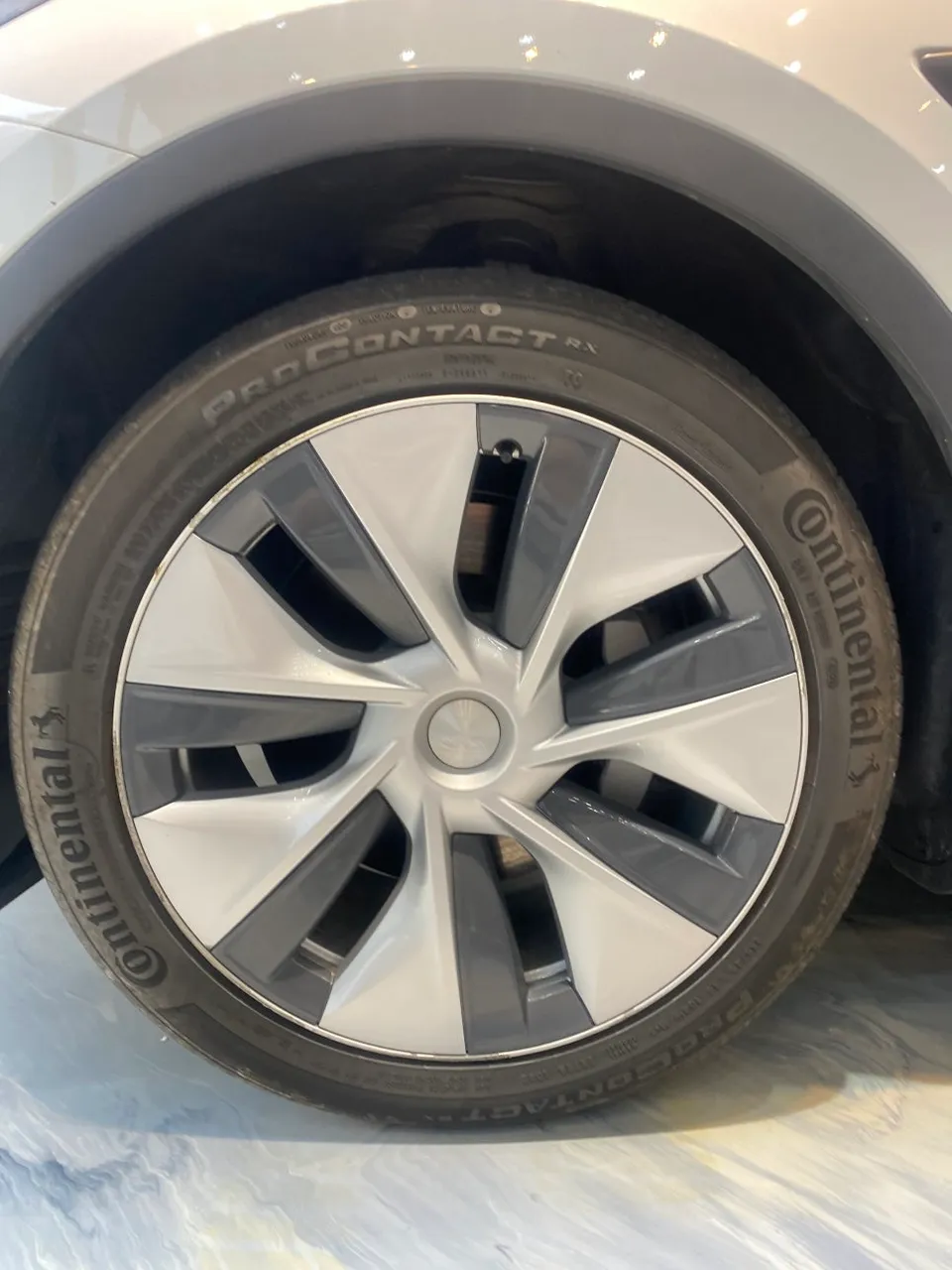 Tesla Model Yのガラスコーティング事例|費用目安と仕上がり 施工写真 2-3