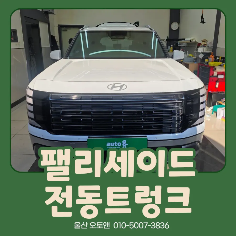 Hyundai Palisade oem options installation result