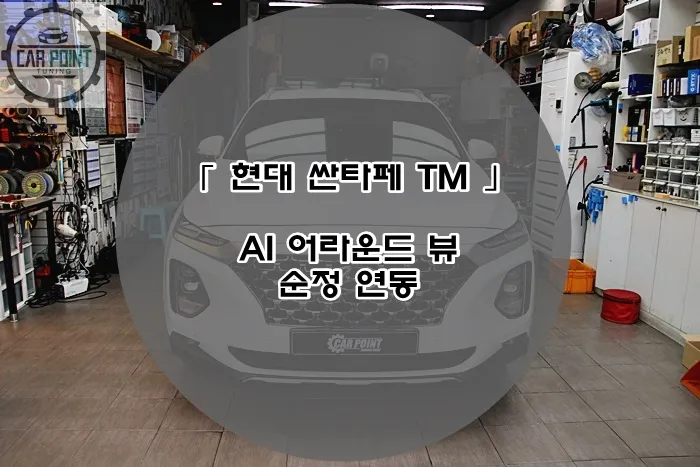 Hyundai Santa Fe TM surround view camera installation result