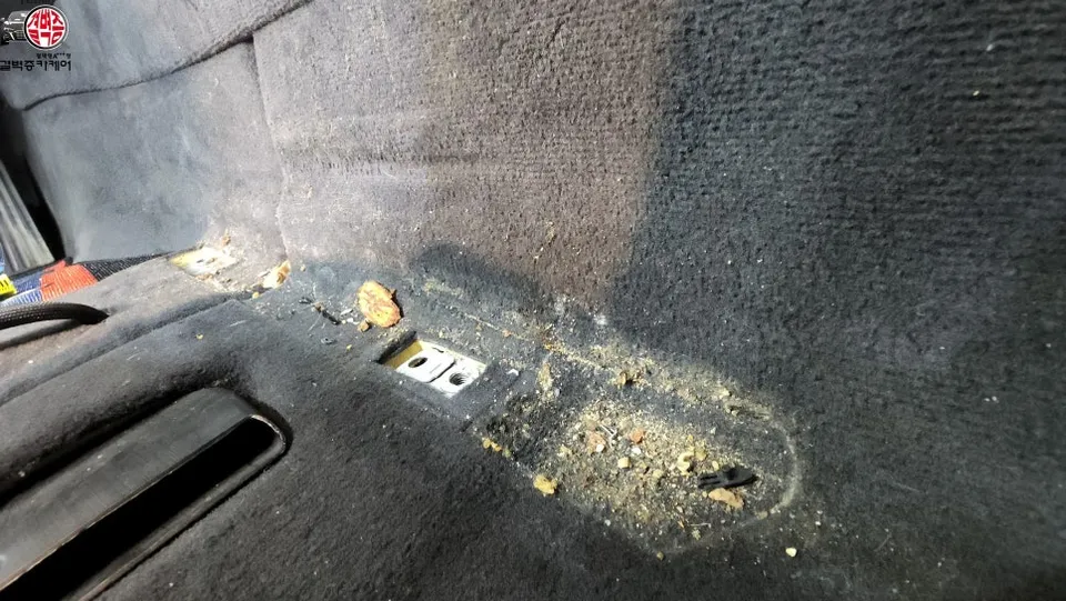 BMW 5 Series Paint Correction Review — Before & After photo 2