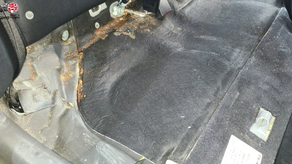 BMW 5 Series paint correction - BMW 5 Series Paint Correction Review — Before & After photo 3