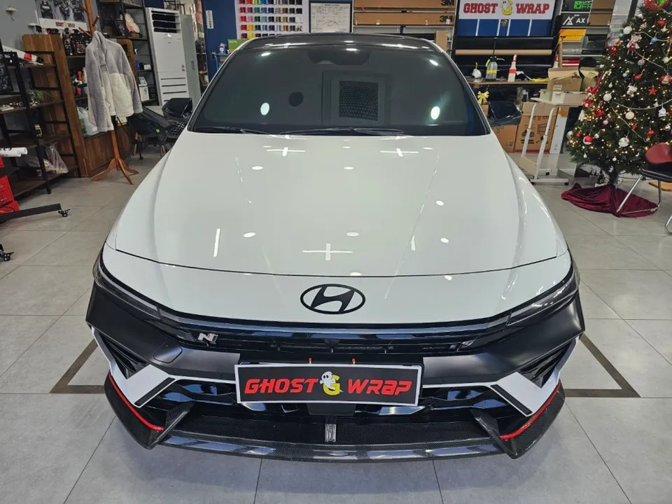 Hyundai Elantra N PPF Review: Rock Chip Protection photo 2