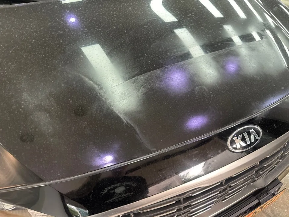 Kia Carnival Hi-Limousineのボンネットラッピング事例 施工写真 2-1