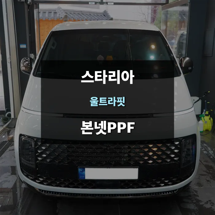 Hyundai Staria ppf review
